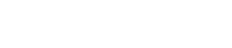 logo light